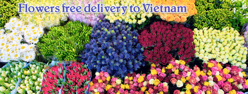 Vietnam flowers shop