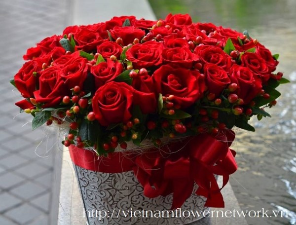 red-christmas-flowers-vietnam