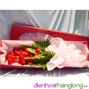 Flower Box 009