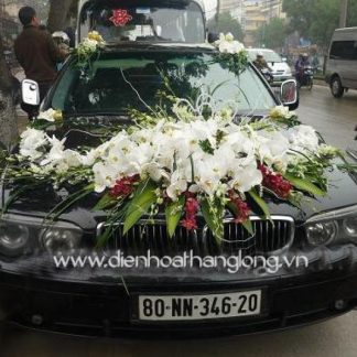 Wedding Flower Cars 010