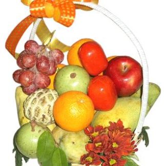 Fruit Basket 003