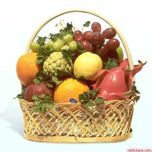 Fruit Basket 005